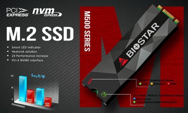 Jelezni fog a BIOSTAR NVMe SSD-je, ha meg akar sülni